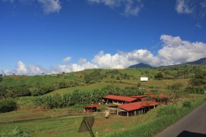 COATA RICAN PHOTO (4)