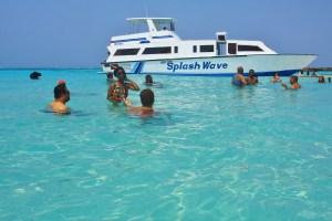 BELIZE CAYE PICNIC (30)