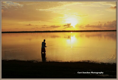 CROOKED TREE FISHAMAN.jpg image